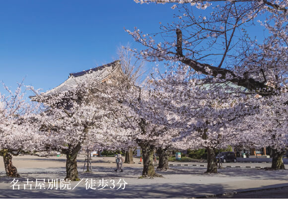 image photo